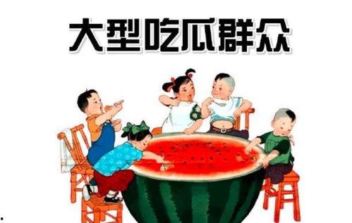吃瓜群众爱娱乐,揭秘明星幕后故事，吃瓜群众狂欢盛宴